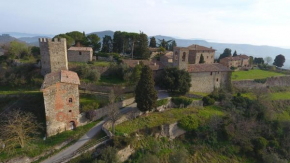 Отель Castello di Mongiovino  Паникале
